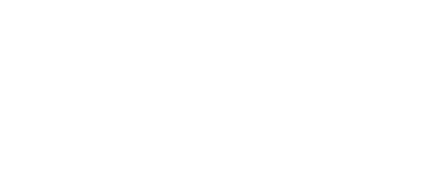 WSI Logo