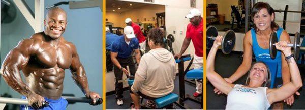 Training Innovations Expands SEO Efforts with WSI