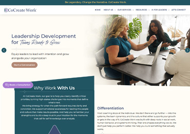 WSI portfolio